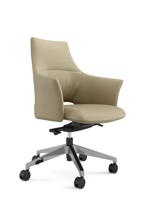 Binye Medium Back Executive Chair