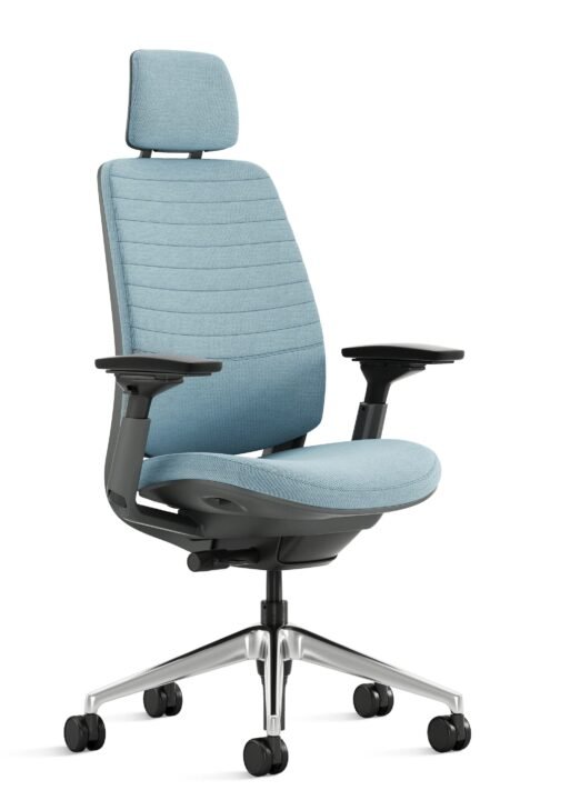 Series 2 chair with head rest